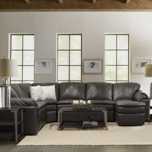 Seneca Leather Sectional Collection