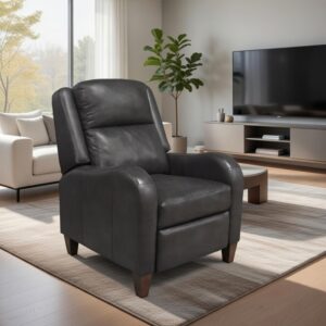 The Aidon Recliner